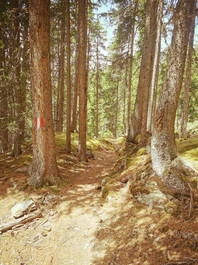 Das K - Dei "Hoamatl" Im Oetztal Buitenkant foto